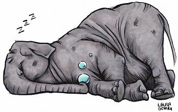 Snooze