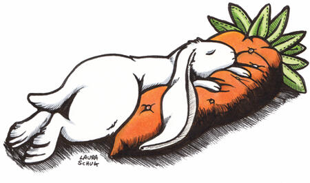 Comfy Carrot