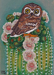 Elf Owl