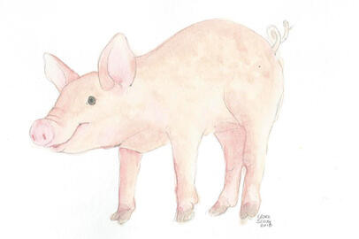 Piggie