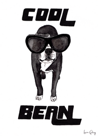 Cool Bean