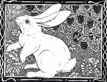 Ink rabbit doodle old